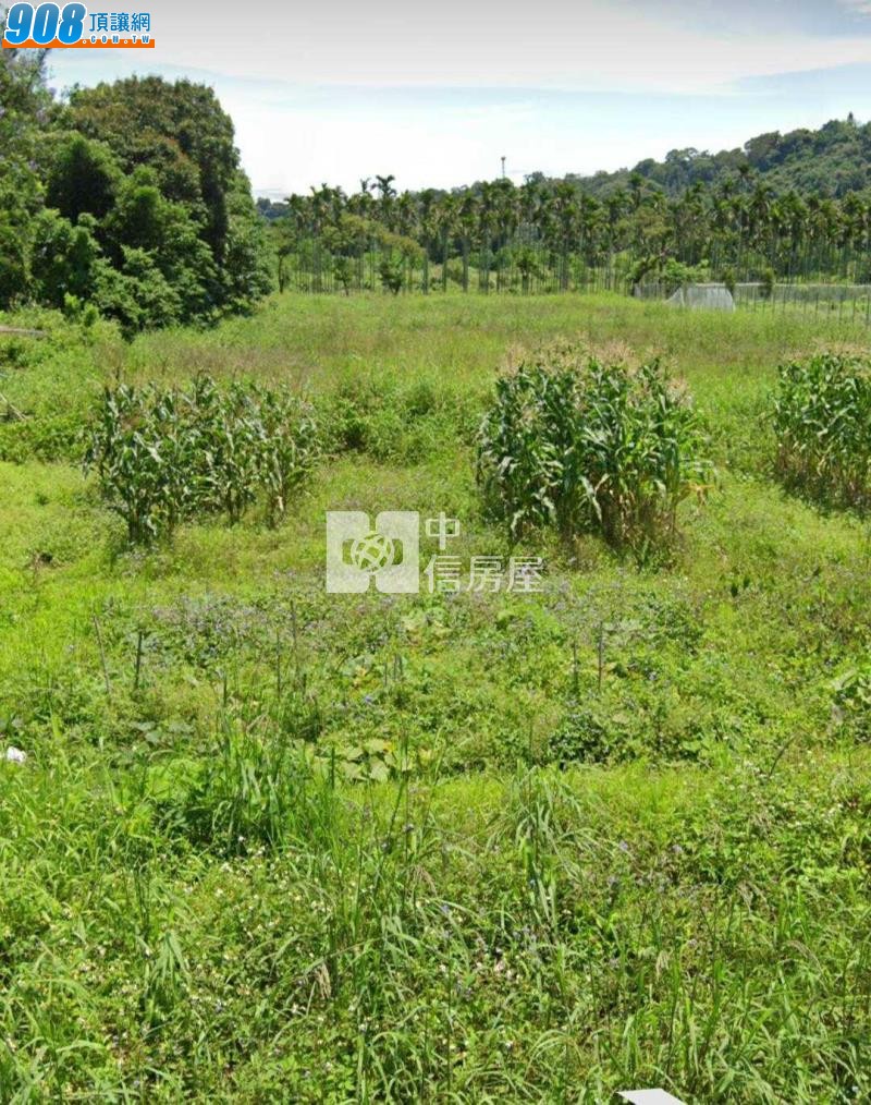 大溪康莊路【風景區】漂亮農地